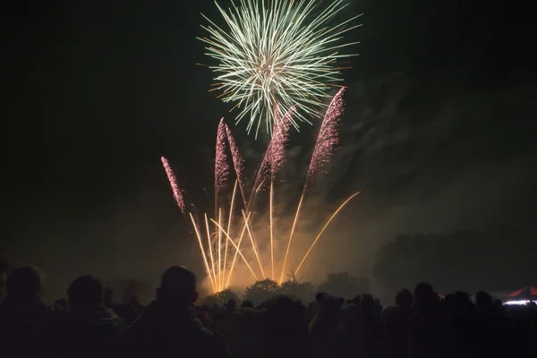 stock image Fireworks