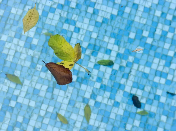 Ondulações e reflexão em uma piscina — Fotografia de Stock