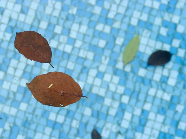Ondas y reflejos en una piscina — Foto de Stock