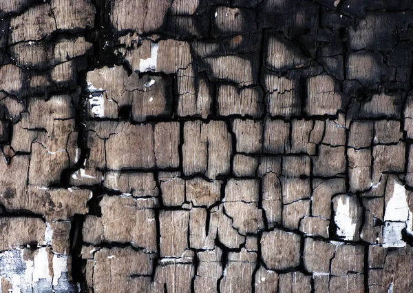 나무를 태워 — 스톡 사진