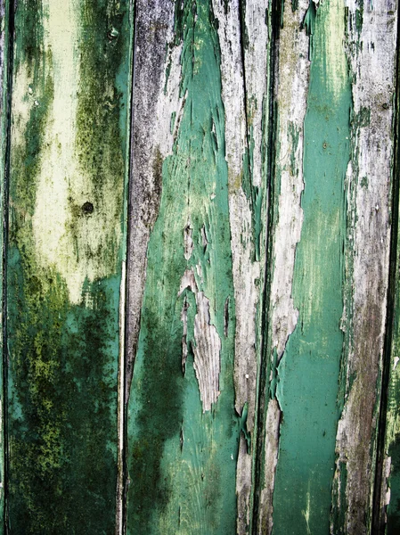 Verde pintado — Foto de Stock