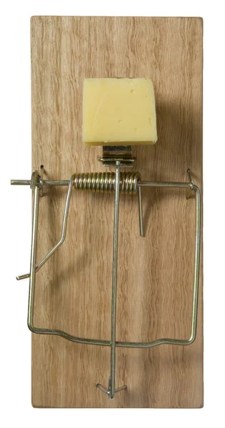 Fare kapanı peynir ile — Stok fotoğraf