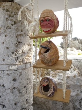 Hindistan cevizi bardak