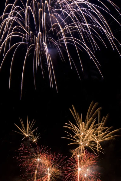 stock image Firework