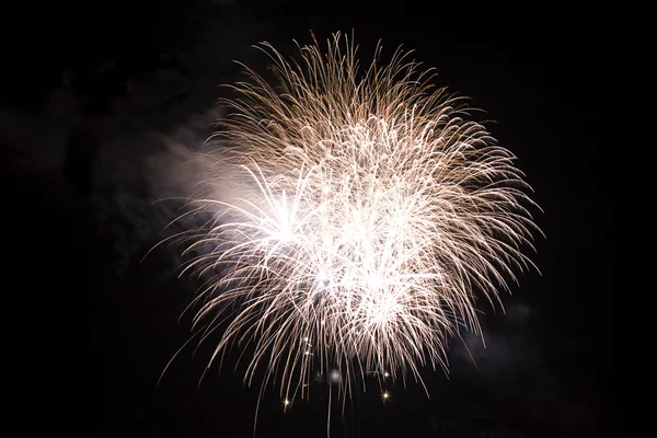 stock image Firework