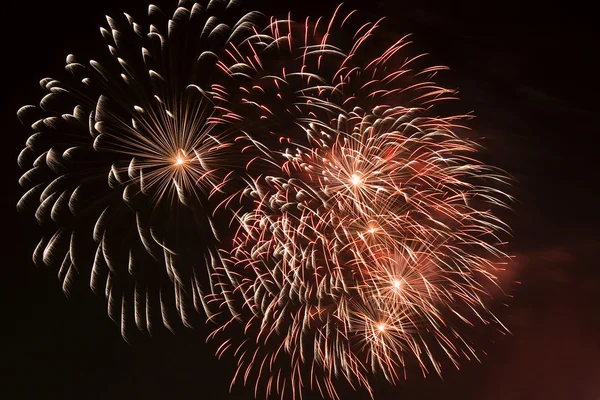 stock image Firework