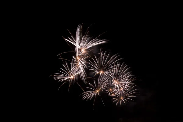 stock image Firework