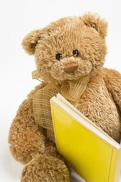 Teddy bear reading — Stock Photo, Image