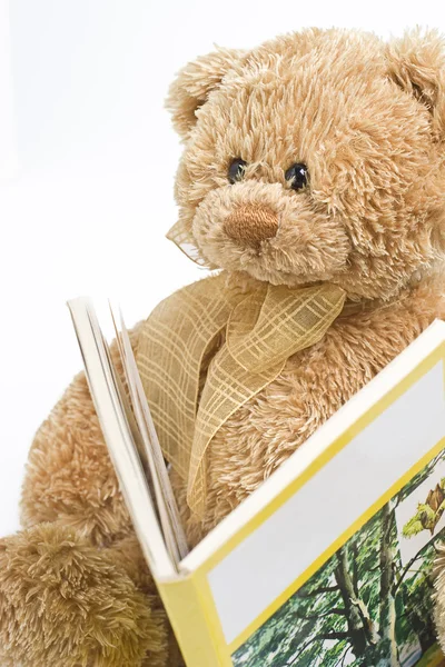 Плюшевий ведмедик читання — стокове фото