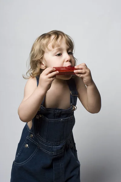 Toddle σε γενικές γραμμές και η φυσαρμόνικα του — Φωτογραφία Αρχείου