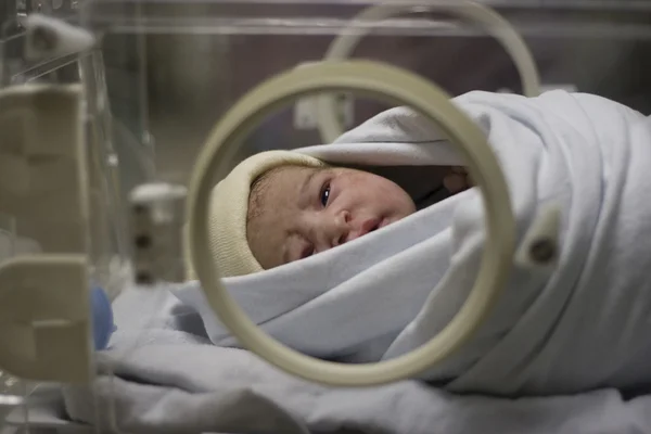 Recién nacido - incubadora — Foto de Stock