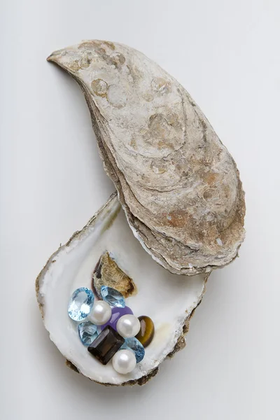 Treasure on a shell — Stock Photo, Image