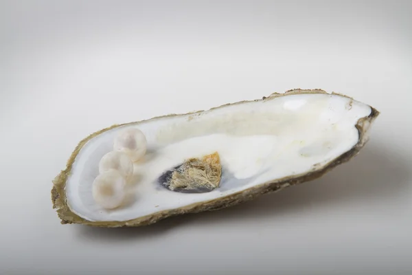 Pearl on shell — Stock Photo, Image
