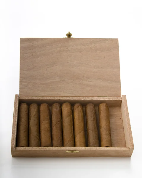 Låda med cigarr — Stockfoto