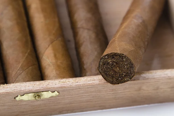 古巴雪茄 — 图库照片