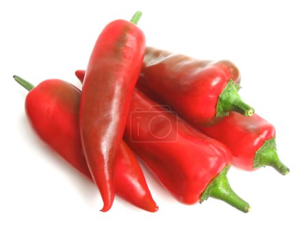 Poivron rouge 