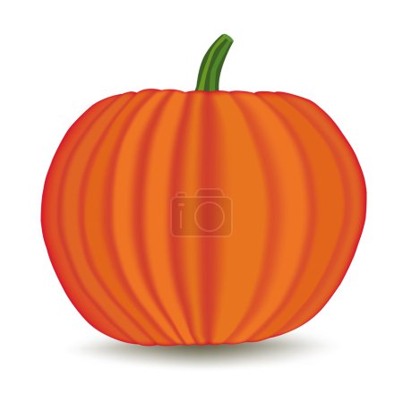potiron
