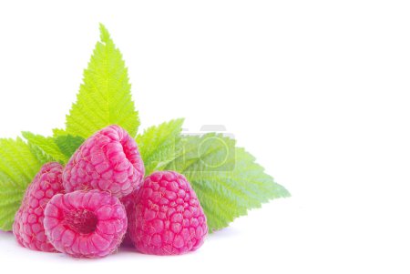 Framboise 