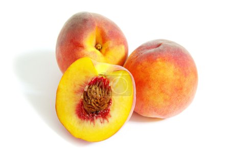 pêche