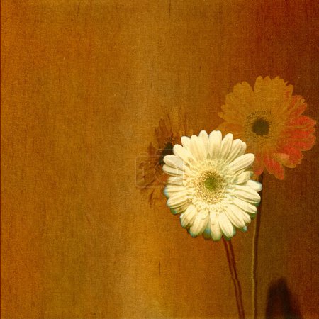 Vieux papier floral fond rayé 