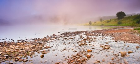 Paysage fluvial 