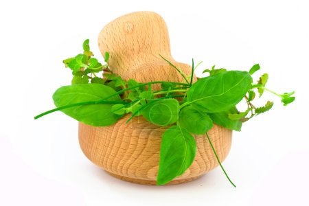 Mortier et pilon aux herbes