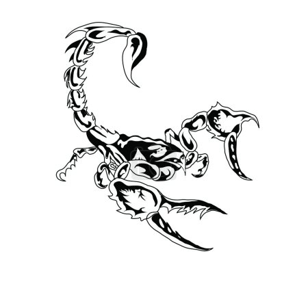 C'est noir un scorpion blanc.Illustration vectorielle 