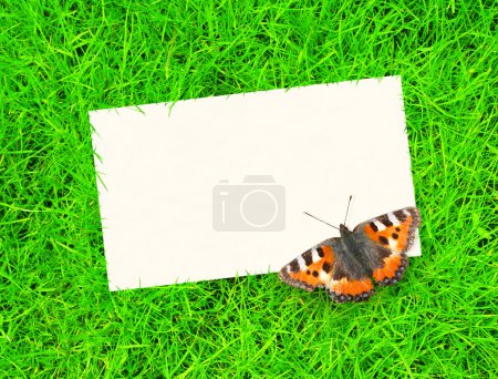 Message de printemps 