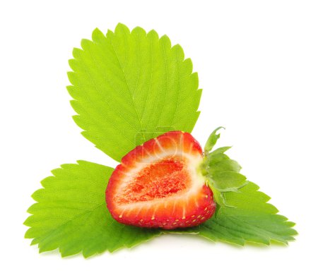 Fraise juteuse 