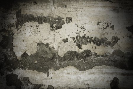 Ancien mur 