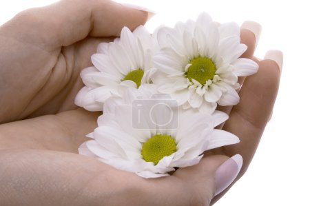 Main de femme avec des fleurs