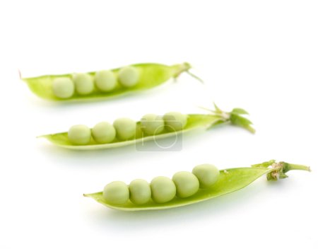 Dosettes de pois verts 