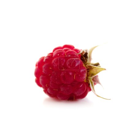 Framboise 