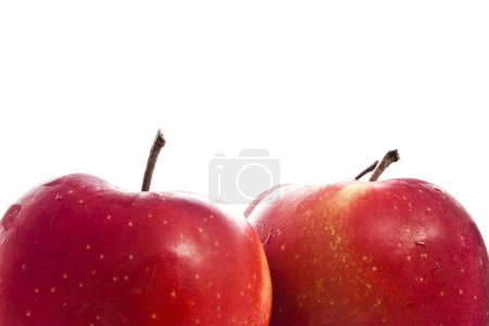 Fond pomme rouge 