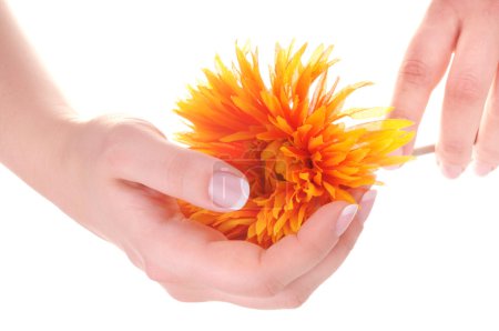 Belle manucure française et fleur 