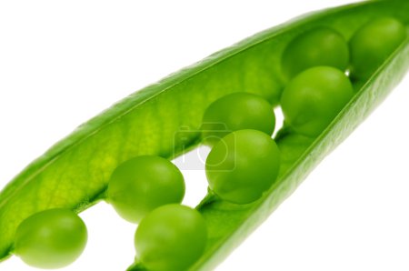 Morue de pois 