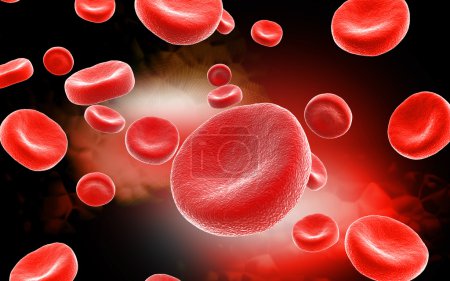 globules rouges 