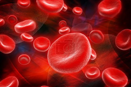 globules rouges 
