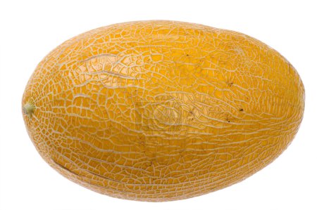 Melon mûr 