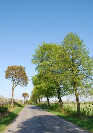 Pays Route
