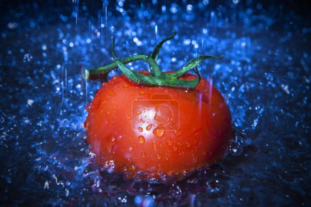 Tomates