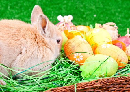 Oeufs de Pâques et lapin dans le nid 