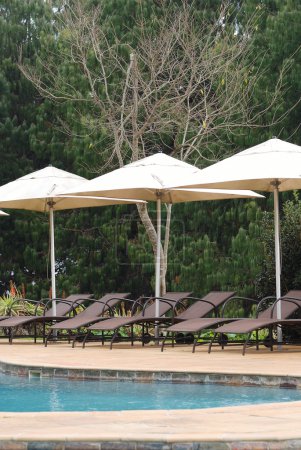 Chaises longues 