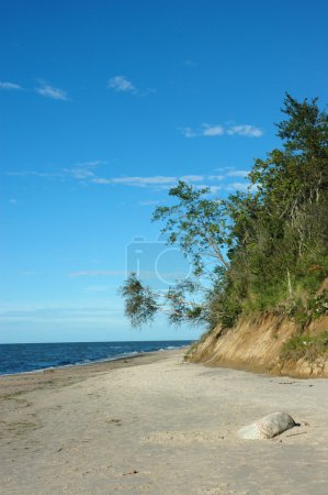 Plage sauvage 