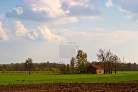 Nuages