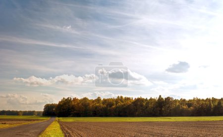 Nuages