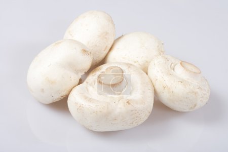 Champignons boutons 