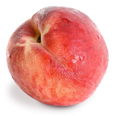 pêche