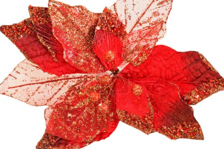 Feuilles rouges 