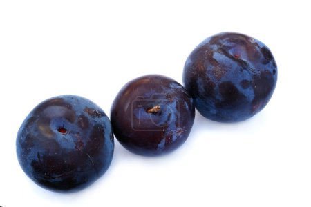 Prune fraîche mûre 
